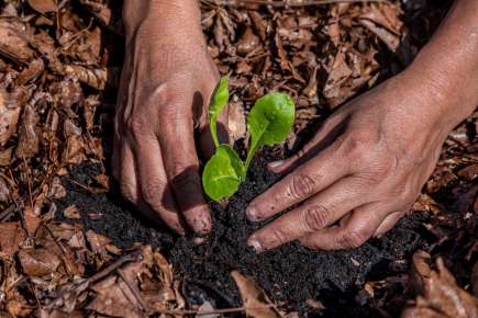 Promueve Ayuntamiento la responsabilidad ambiental