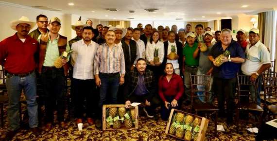 NAHLE DIALOGA CON PRODUCTORES DE PIÑA DEL ESTADO
