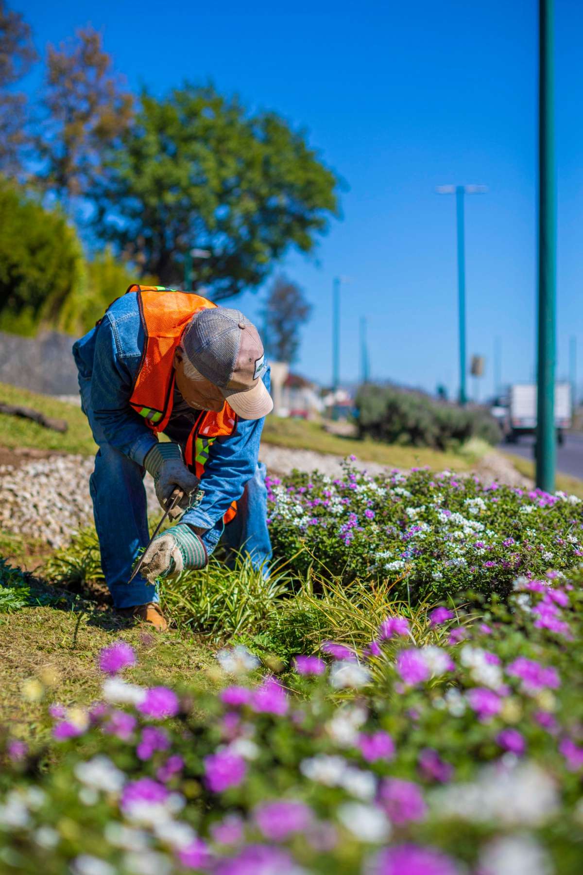 Realiza Medio Ambiente acciones de mantenimiento en áreas verdes