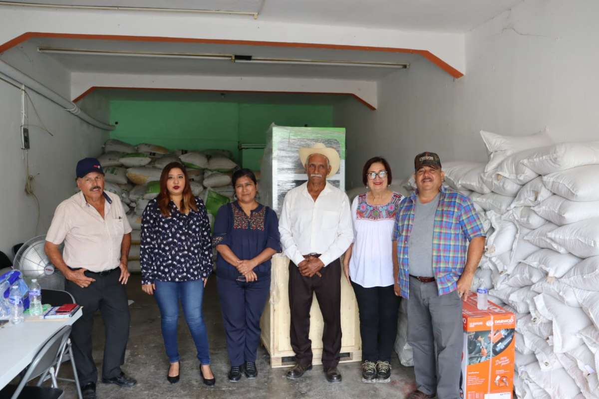 ¡Cumple Mago Corro! A través de gestión logra maquinaria para productores de arroz de Tlalixcoyan