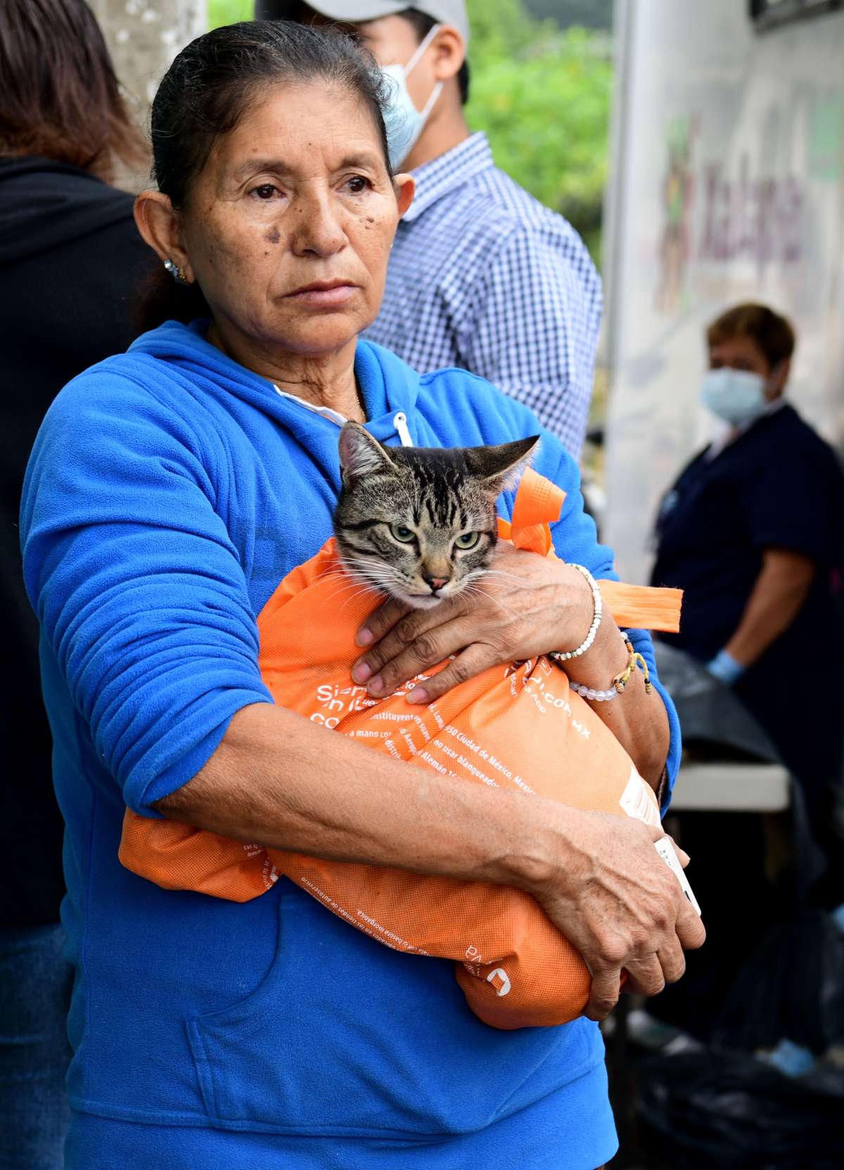 Realiza Ayuntamiento jornada de esterilización canina y felina