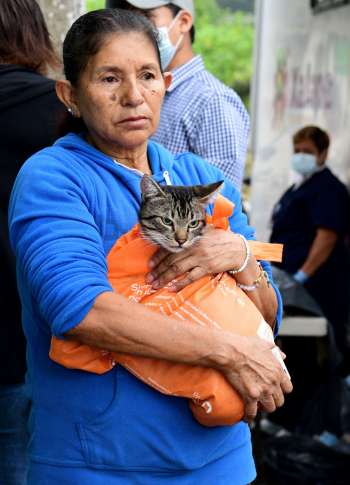 Realiza Ayuntamiento jornada de esterilización canina y felina