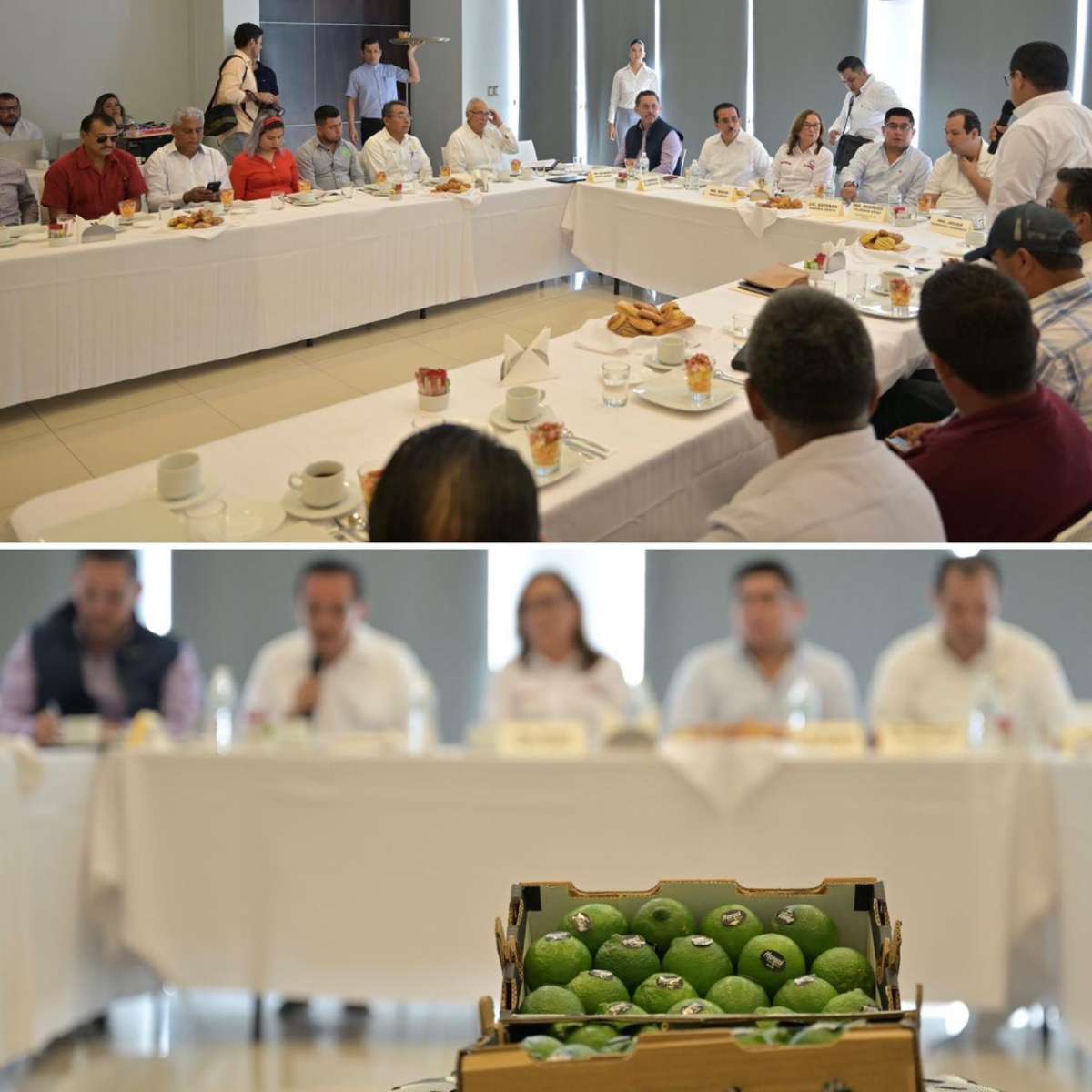 CITRICULTORES VERACRUZANOS DIALOGAN CON NAHLE