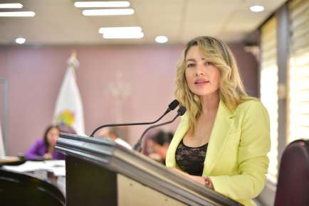 Propone Diputada un Registro Público de los Institutos Municipales de la Mujer   