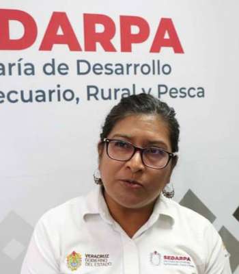 Convocan a participar en la segunda edición del concurso estatal del café Veracruz 2024   