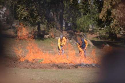 Evitemos incendios forestales; no realices quemas agrícolas en temporada de calor