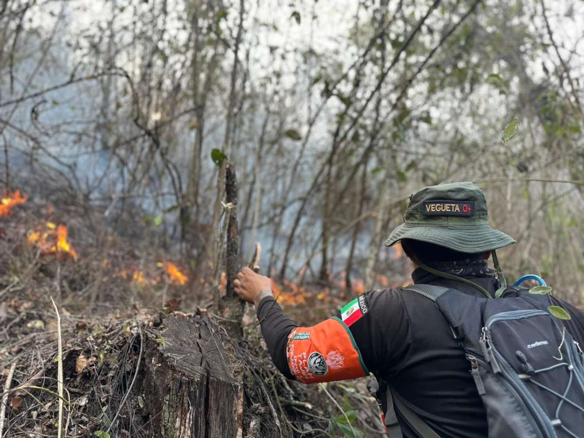 Intensifican acciones para sofocar incendios en las Altas Montañas   
