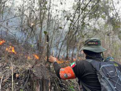 Intensifican acciones para sofocar incendios en las Altas Montañas   