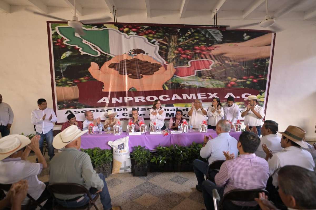 VERACRUZ SE MANTENDRÁ ENTRE LAS PRINCIPALES ENTIDADES PRODUCTORAS DE CAFÉ: ROCÍO NAHLE