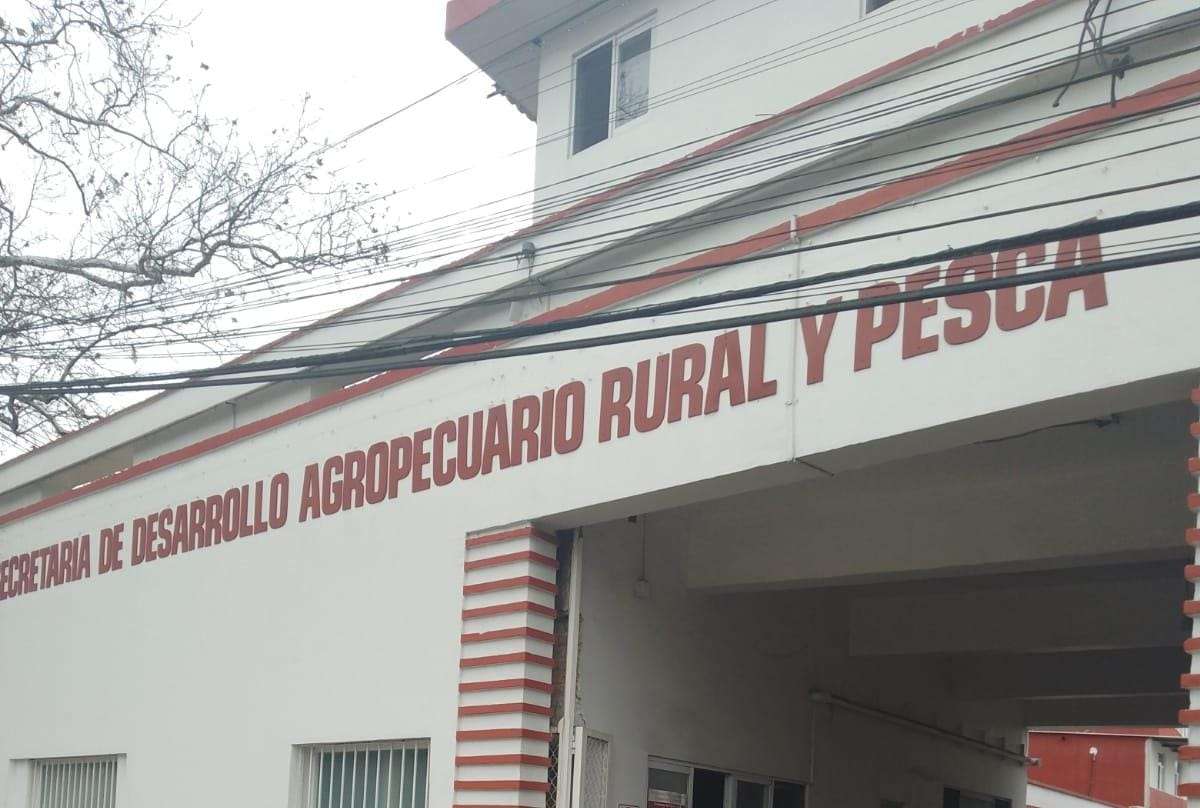 Renuncian funcionarios de la Sedarpa de Recursos  Financieros y de Infraestructura Agropecuaria
