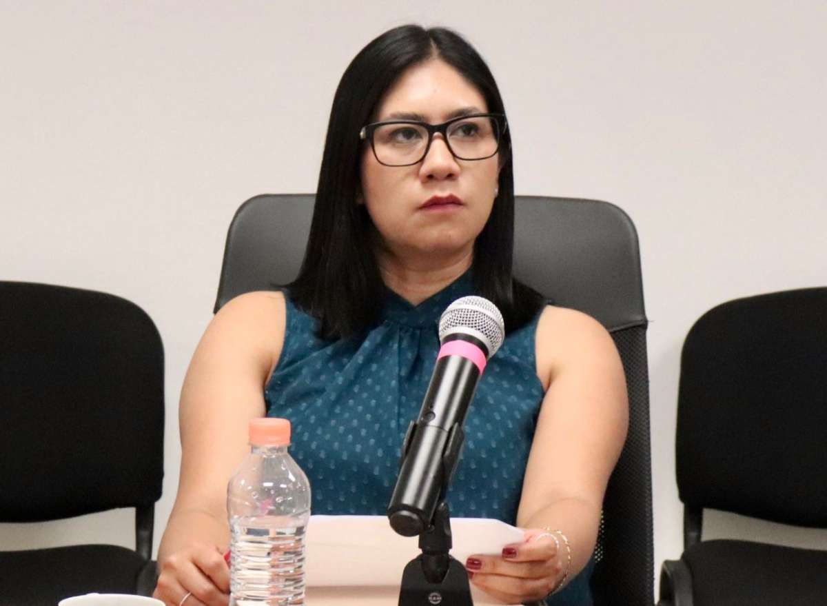 INE cuenta con protocolo para atender a personas observadoras electorales con discapacidad visual