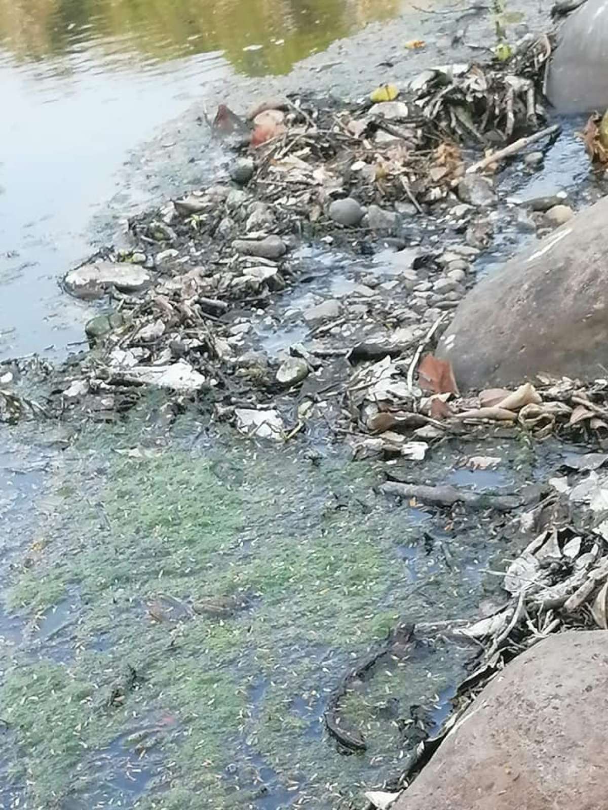 Se agrava contaminación de afluentes del Río Jamapa y autoridades ambientales no hacen nada  