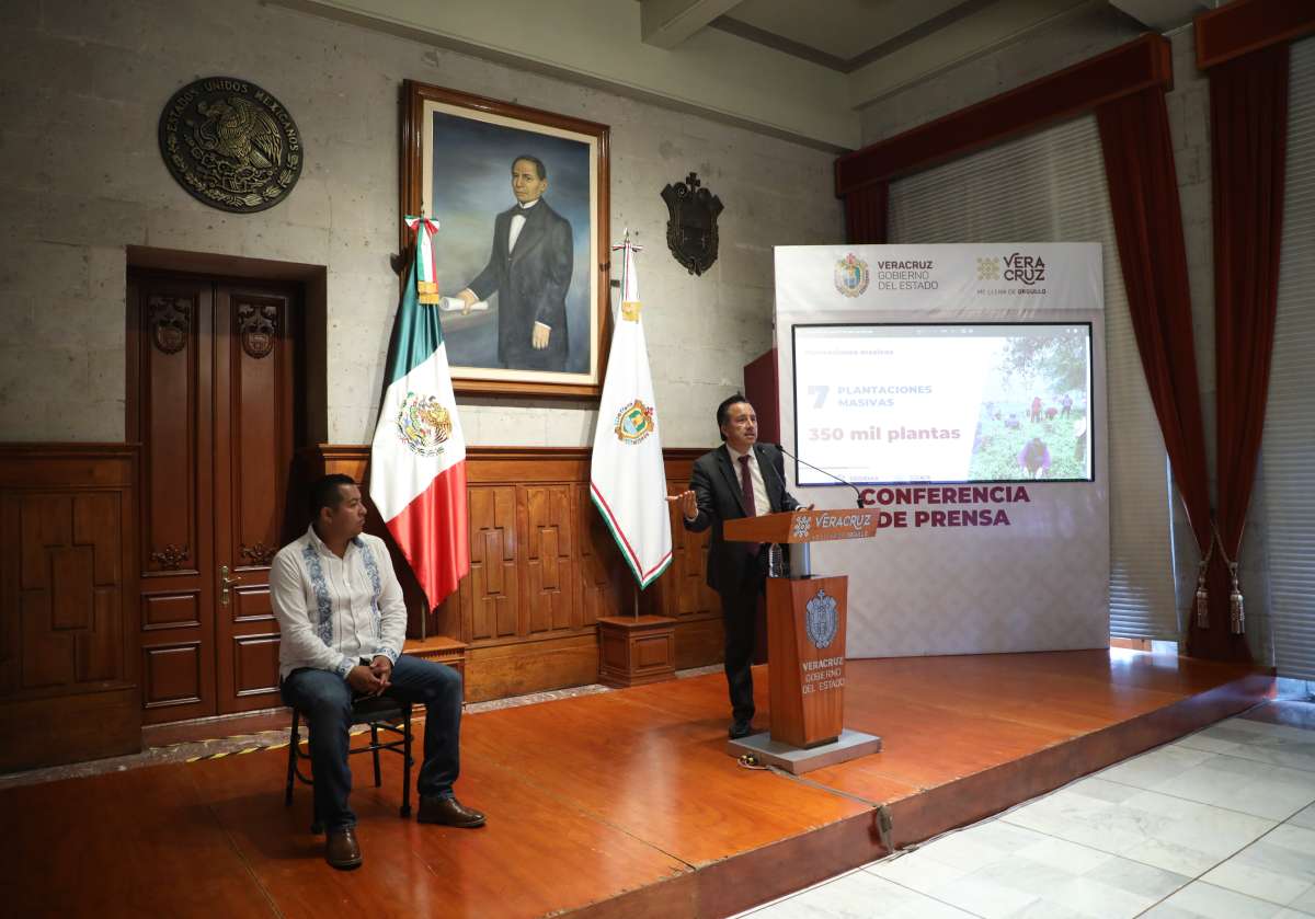 Veracruz, pionero en reforestación con tecnología desarrollada por ingeniería local