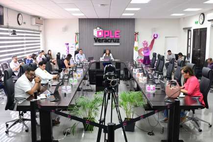 Aprueba OPLE Veracruz Titularidad a dos miembros SPEN, en la Dirección Ejecutiva de Organización Electoral