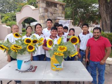 Docentes y Estudiantes del  COBAEV Plantel 59 Pánuco Sembraron,  Cosecharon y Venden Girasoles