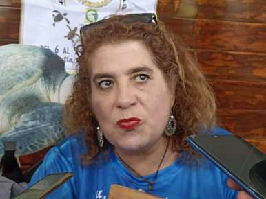 Vida Milenaria A. C. festejará 50 años rescatando y  protegiendo a las tortugas marinas en peligro de extinción  