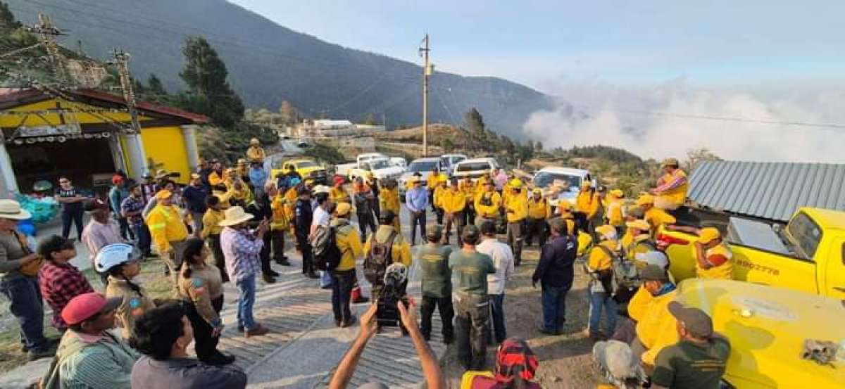 En la lucha contra los incendios forestales, crucial ayudar a los sectores afectados: Perla Romero