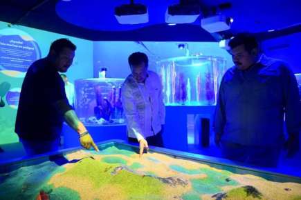 No han muerto especies marinas en el Aquarium de Veracruz; denuncias al respecto, producto de la campaña electoral pasada  