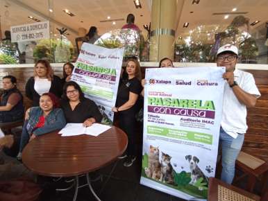 Animalistas denuncian amenazas por realizar su labor de protección y atención de mascotas  