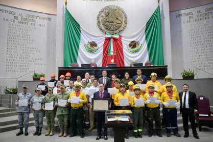 Apuesta Veracruz por la restauración forestal ante cambio climático