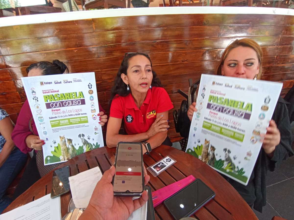 Animalistas, rescatistas y voluntarios realizan la Segunda Pasarela con Causa en el Paseo de Los Lagos el 13 de julio  