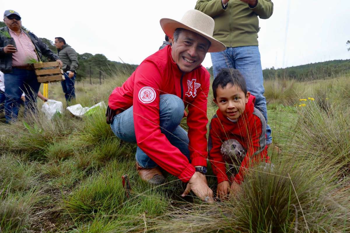 Con drones seguirán reforestando Veracruz: Cuitláhuac García