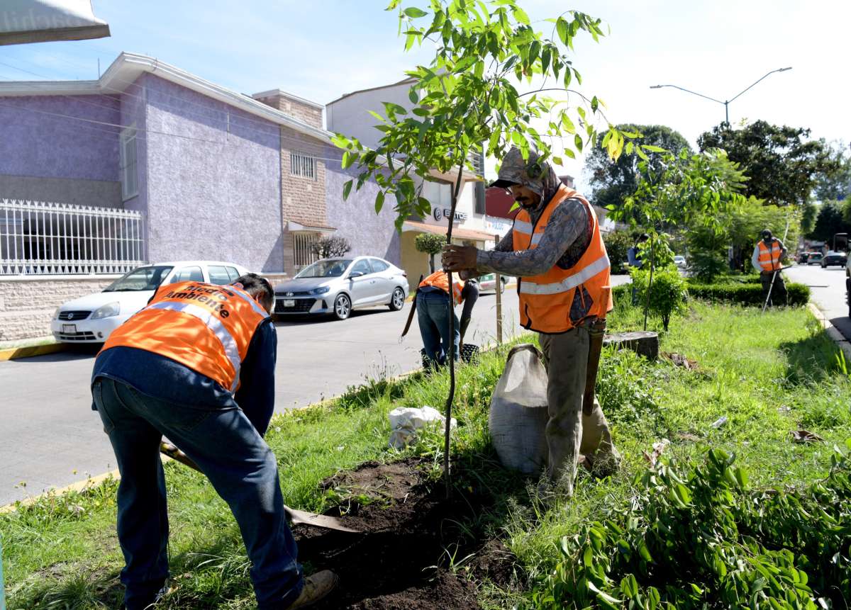 Realiza Ayuntamiento Jornada de Mantenimiento de Áreas Verdes