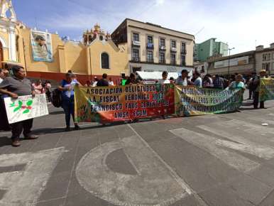 Demandan cafetaleros absolución para 7 acusados por AMSA-ECOM que faltan; exigen se desista de la apelación  