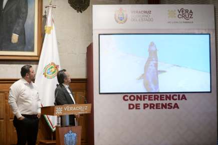 Desde su rescate, 490 mdp invertidos en el Aquarium del Puerto de Veracruz   