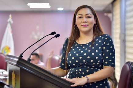 Mayor protección a servidoras públicas, pide Diputada