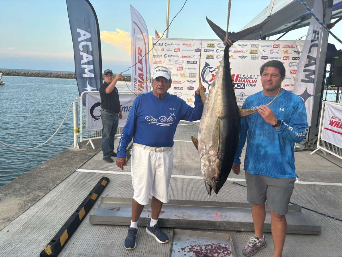 Encabeza Embarcación Don Balta, el Torneo Internacional del Marlín “MAJA 2024”