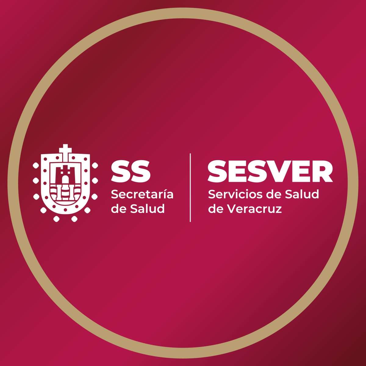 La SS|SESVER informa que en las siguientes unidades de salud, se atienden a 26 personas de 3 a 60 años de edad, lesionadas en el accidente en el Km 29 de la carretera federal Fortín-Huatusco: