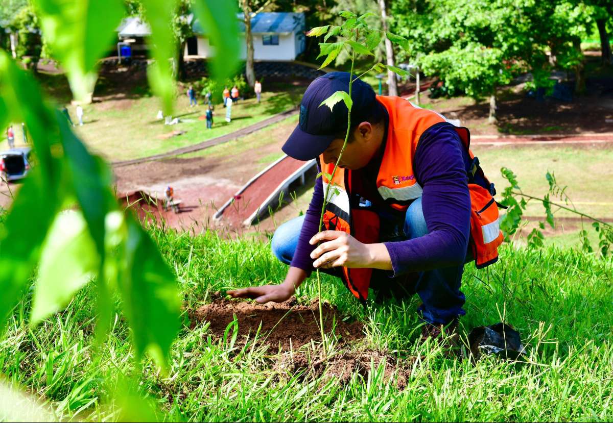 Realiza Dirección de Medio Ambiente Jornada de Reforestación