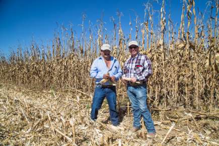 Granjas Carroll impulsa la economía regional en localidades de Veracruz y Puebla  