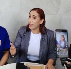 PAN aletargado y controlado por órganos partidistas; urge renovarlos y democratizarlo, para ello debe participar la militancia: Adriana Dávila  