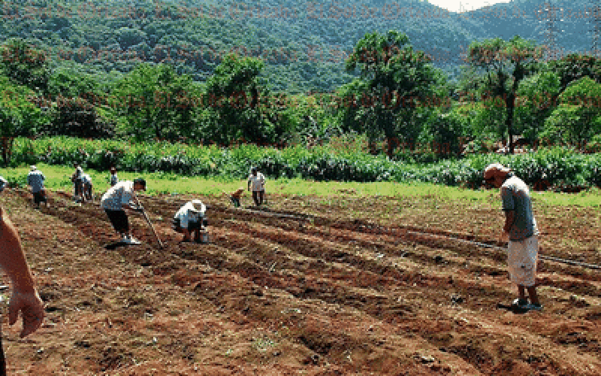Campo mexicano, generador de riqueza con productores pobres por abandono del gobierno de la 4T: Reyes Fausto