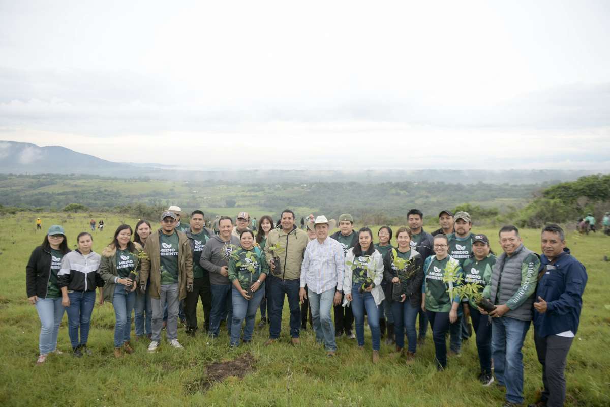 Cuitláhuac García cierra sexenio con más de 11 millones de árboles sembrados