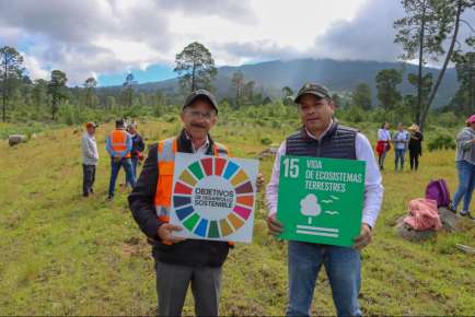 Granjas Carroll de México reforesta con más de 15 mil árboles el ejido Tenextepec