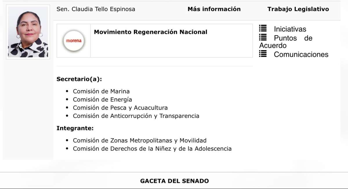 La Senadora de la República Claudia Tello Espinosa logró integrarse a seis comisiones ordinarias.