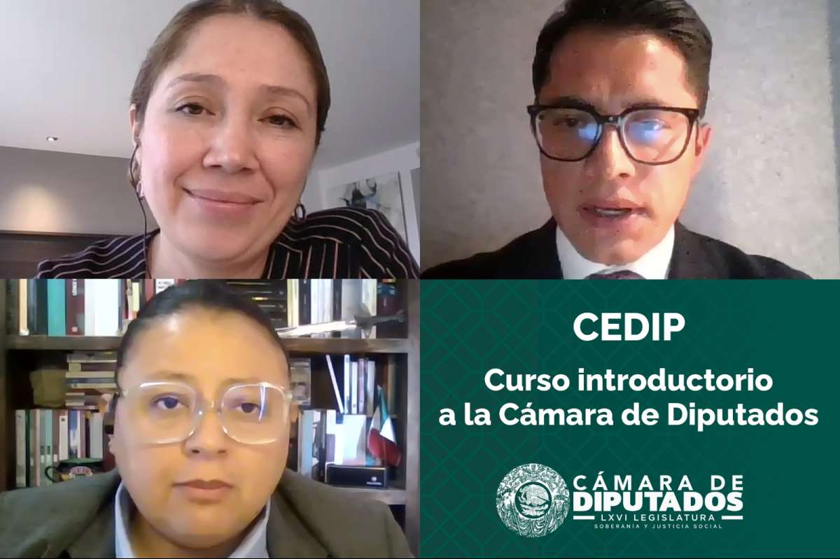 Imparte el CEDIP curso introductorio a la Cámara de Diputados   