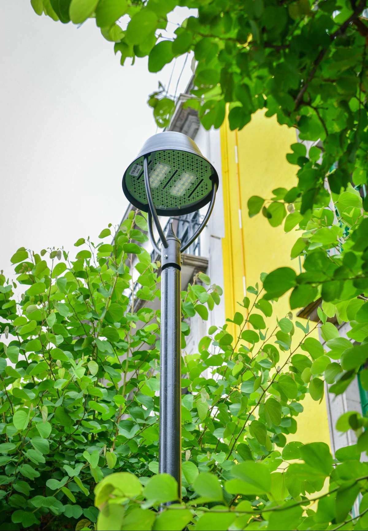 Instala Ayuntamiento luminarias LED en Enríquez