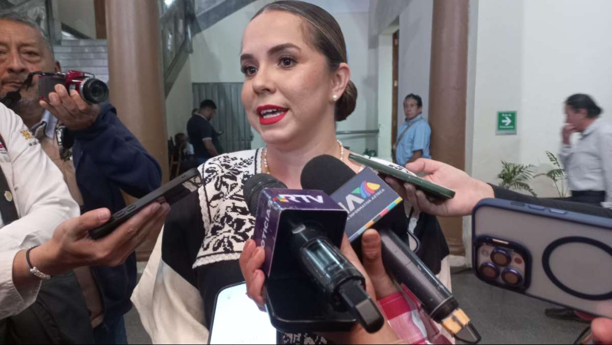 38 casos de paludismo se han registrado en el estado de Veracruz en el 2024: SSA  