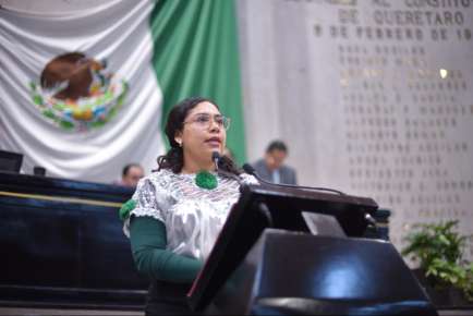 Plantea diputada incorporar el bienestar animal como competencia de una Comisión   
