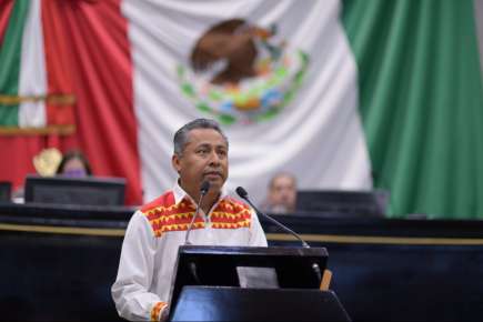 Respeto a derechos político-electorales de indígenas y afrodescendientes, pide Diputado   