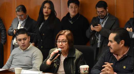 Comisión de Ganadería aprobó exhorto a la Sader para que proteja apiarios ante plaguicidas que pongan en riesgo a las abejas   
