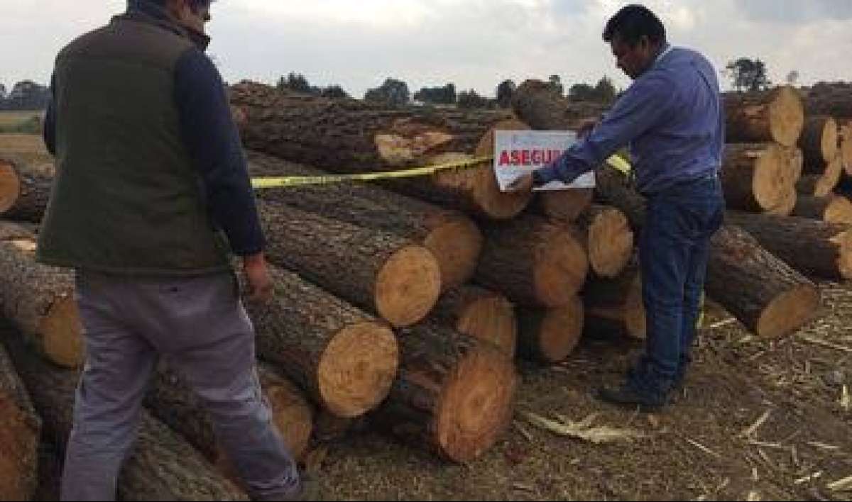 Implementa Profepa 28 filtros de revisión de transporte de materias primas forestales en 16 entidades