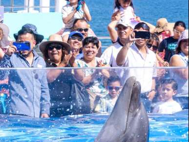 En estas vacaciones, visita el Aquarium del Puerto de Veracruz y vive una experiencia inolvidable