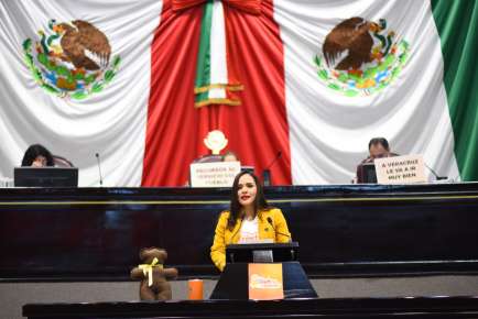 Atención a menores con cáncer, en la Constitución, pide diputada   