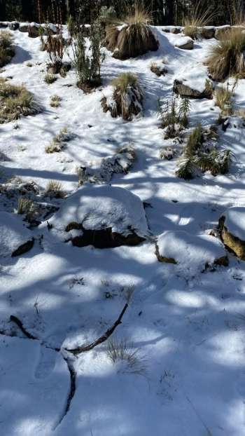 Se registra la primera nevada en el Cofre de Perote