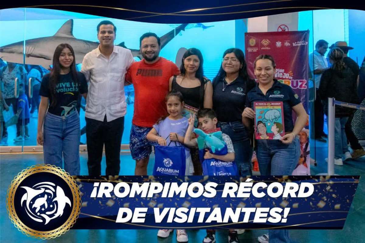 El mejor diciembre en su historia, Aquarium del Puerto de Veracruz rompe récord   